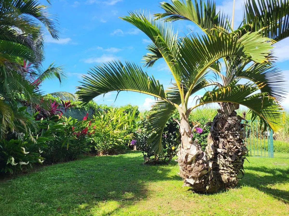 Fleur de canne Sainte-Rose 0*,  Guadeloupe